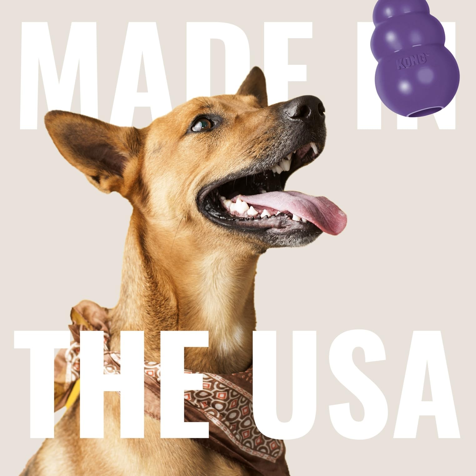 KONG Senior made in USA for quality and safety.