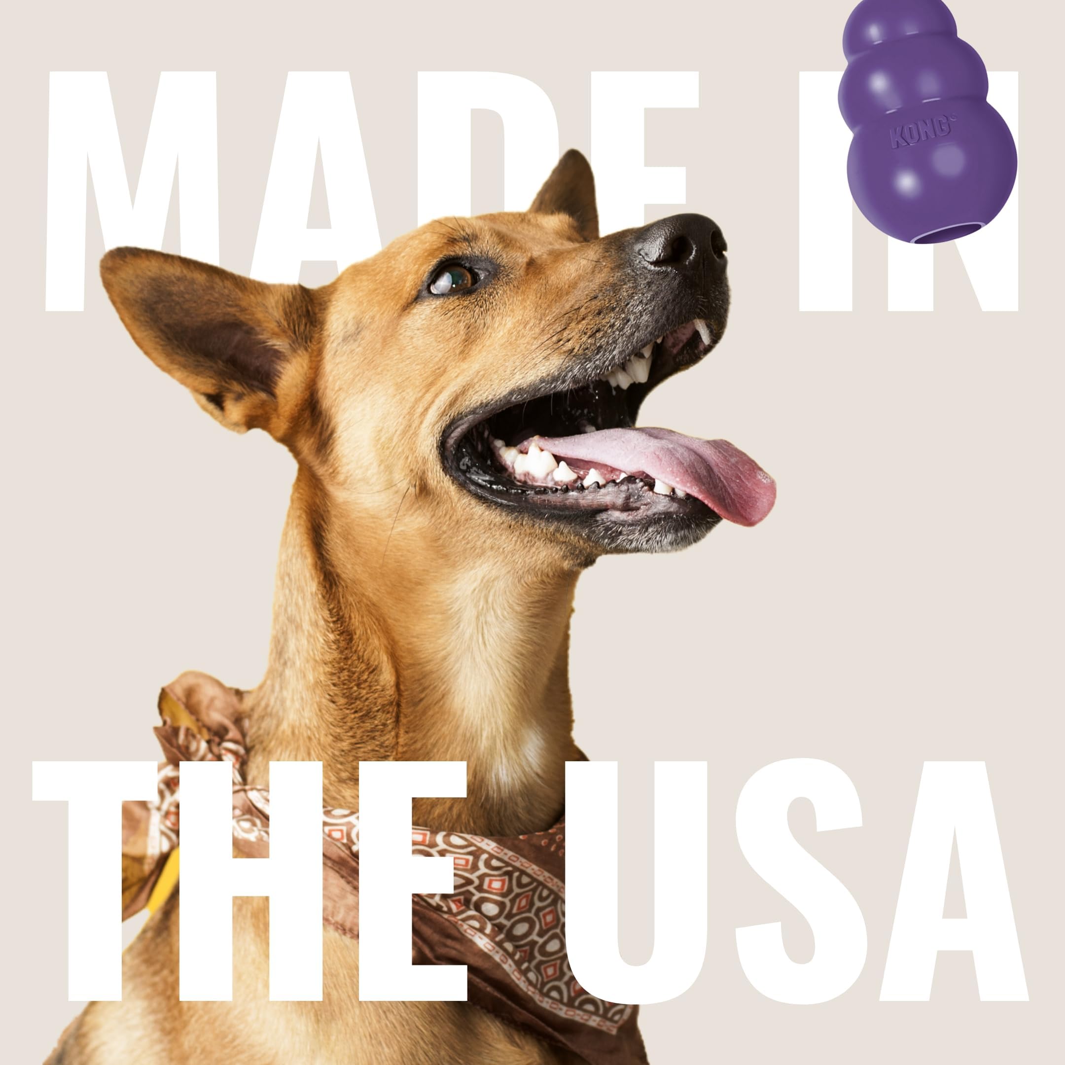 KONG Senior medium dog pack of two for versatile play sessions