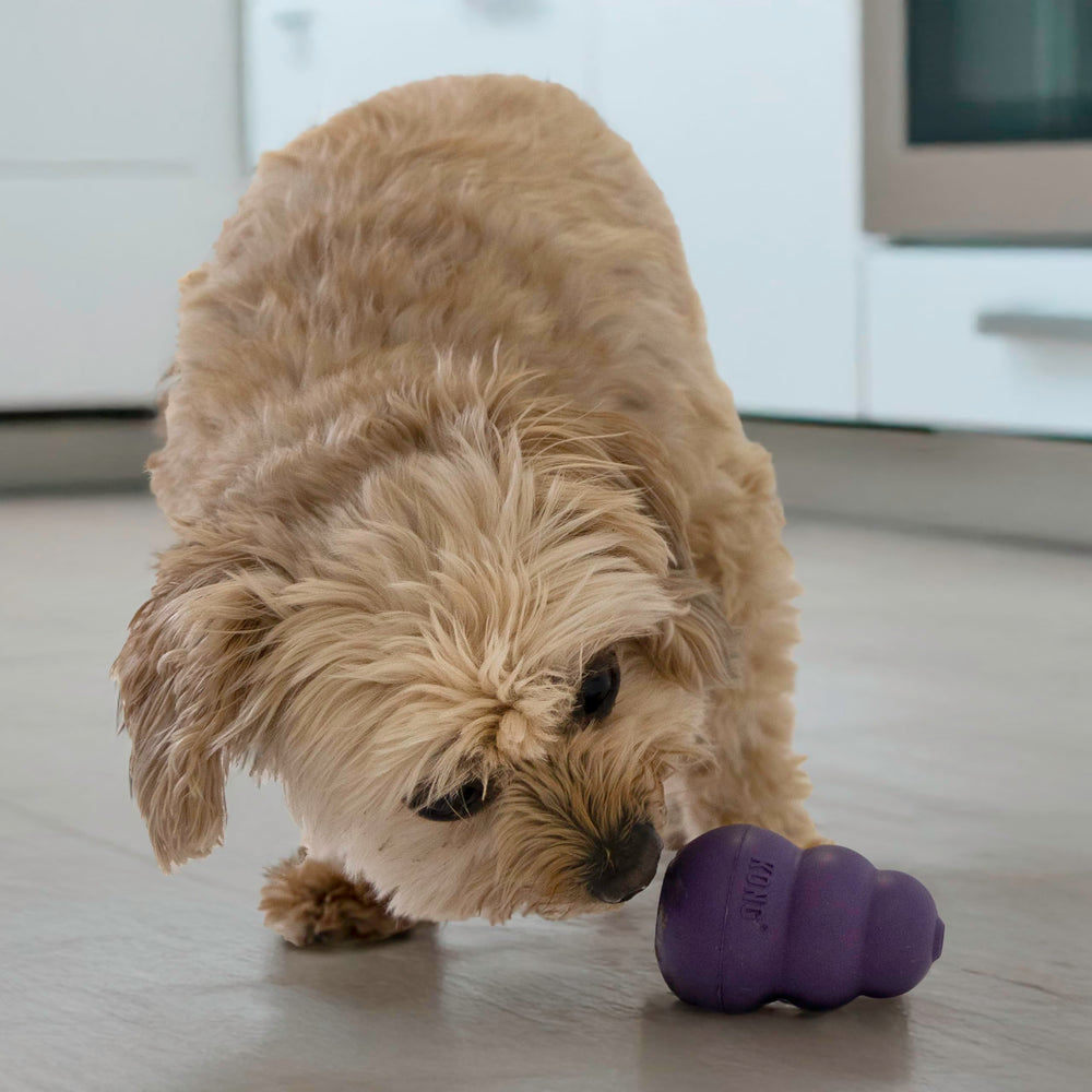 KONG Senior stuffed treat toy prepared with kibble.