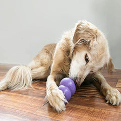 KONG Senior stuffed treat toy for extended, tasty play