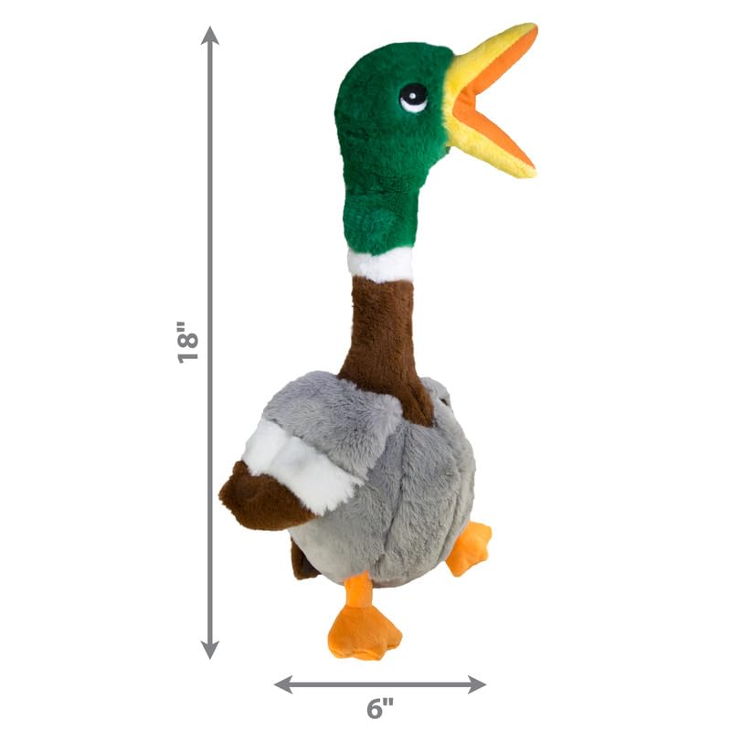 KONG Shakers Honkers Duck dog playing fetch with plush toy