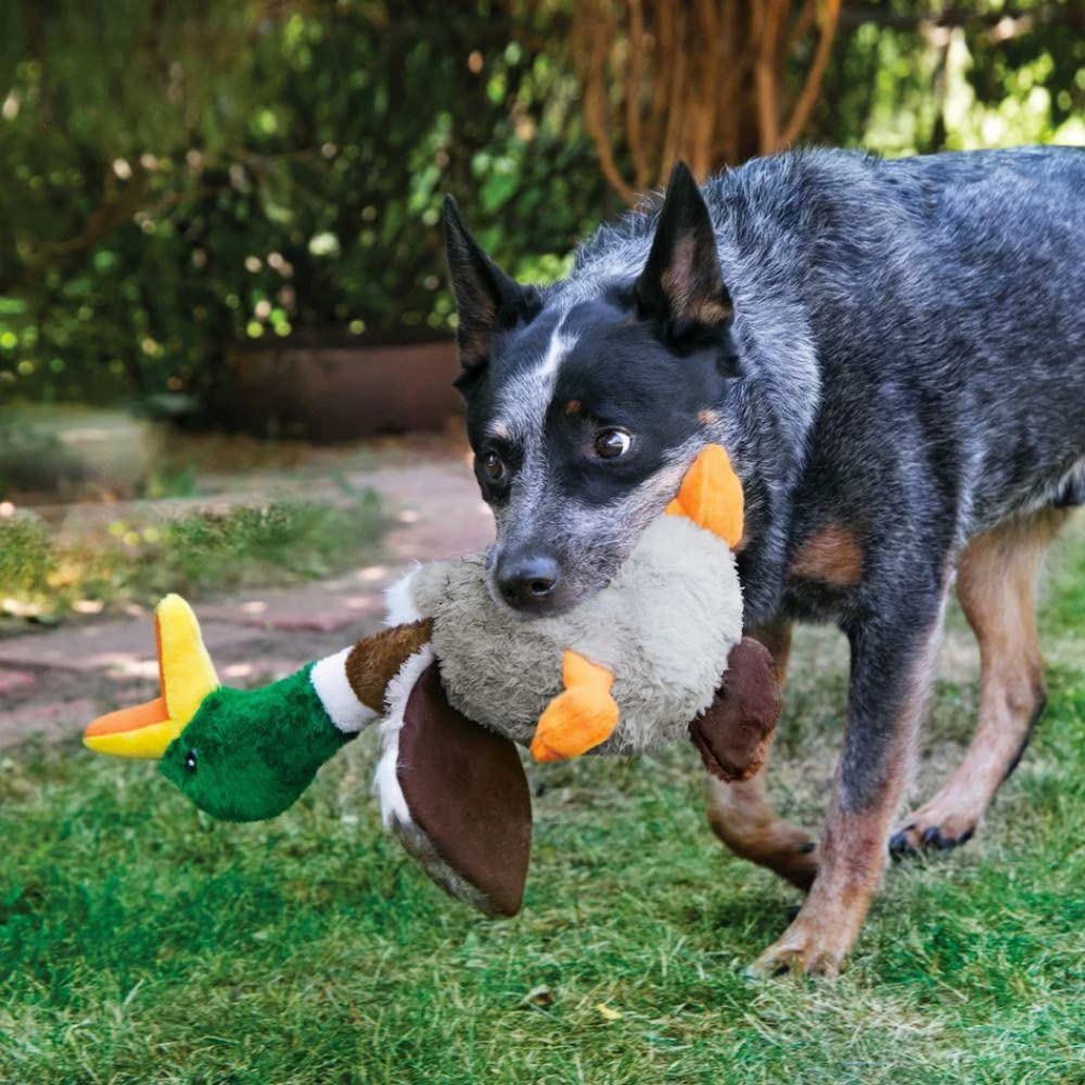 KONG Shakers Honkers Duck low-tone squeaker keeps dogs engaged