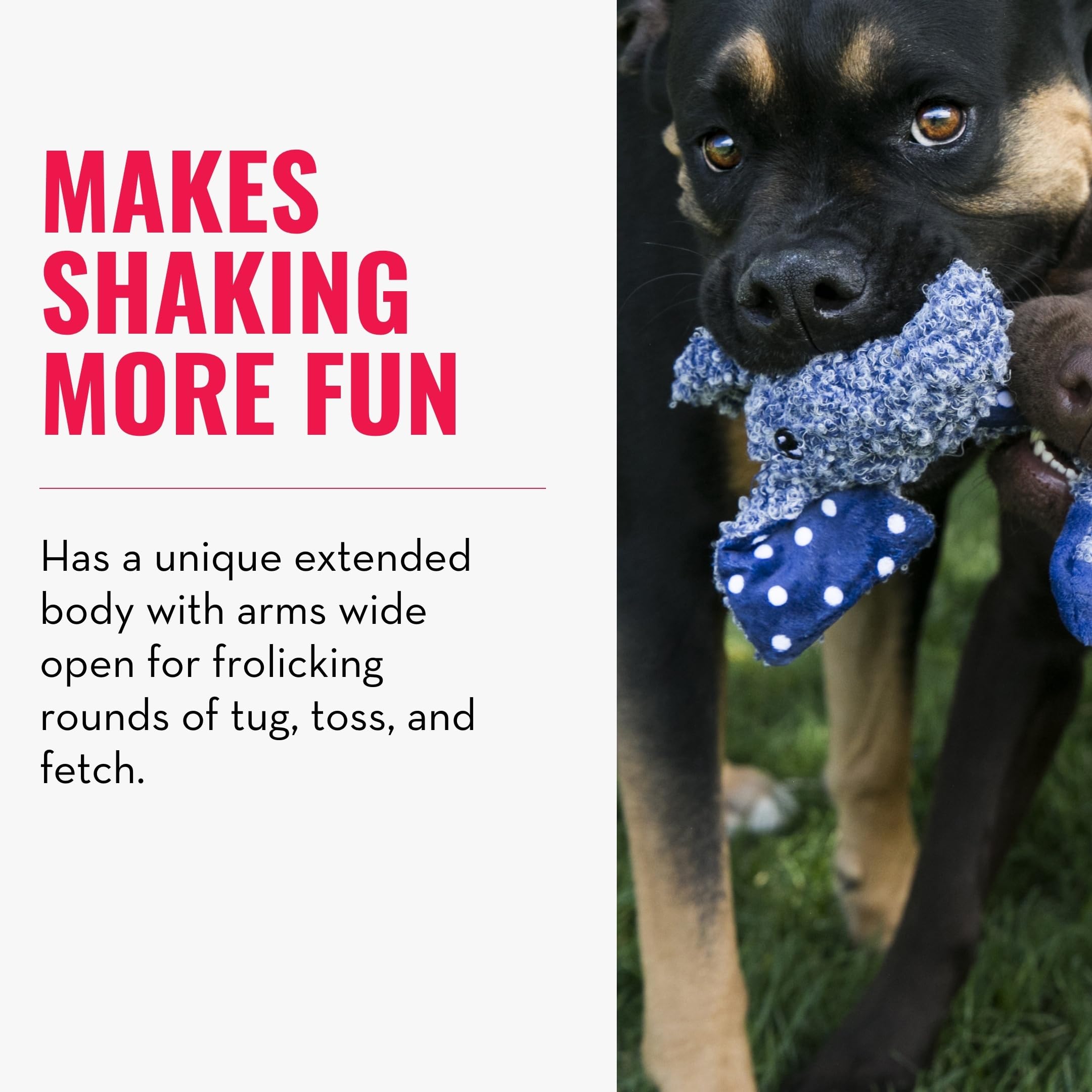 KONG Shakers Luvs Elephant squeaker engages play in blue large