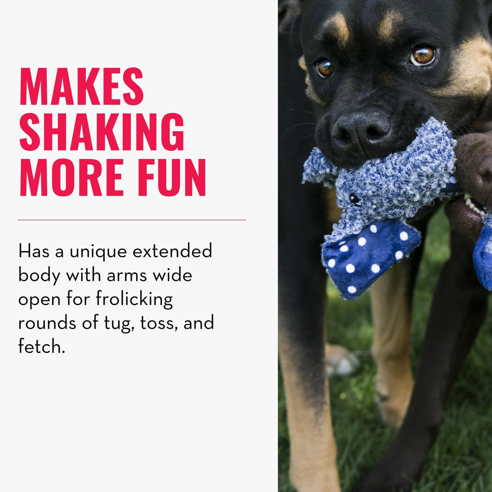 KONG Shakers Luvs Elephant squeaker engages play in blue large