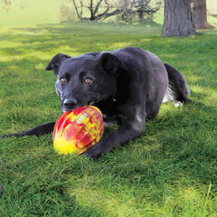 Dog holds the easy-grip ridges of the KONG FlexBall