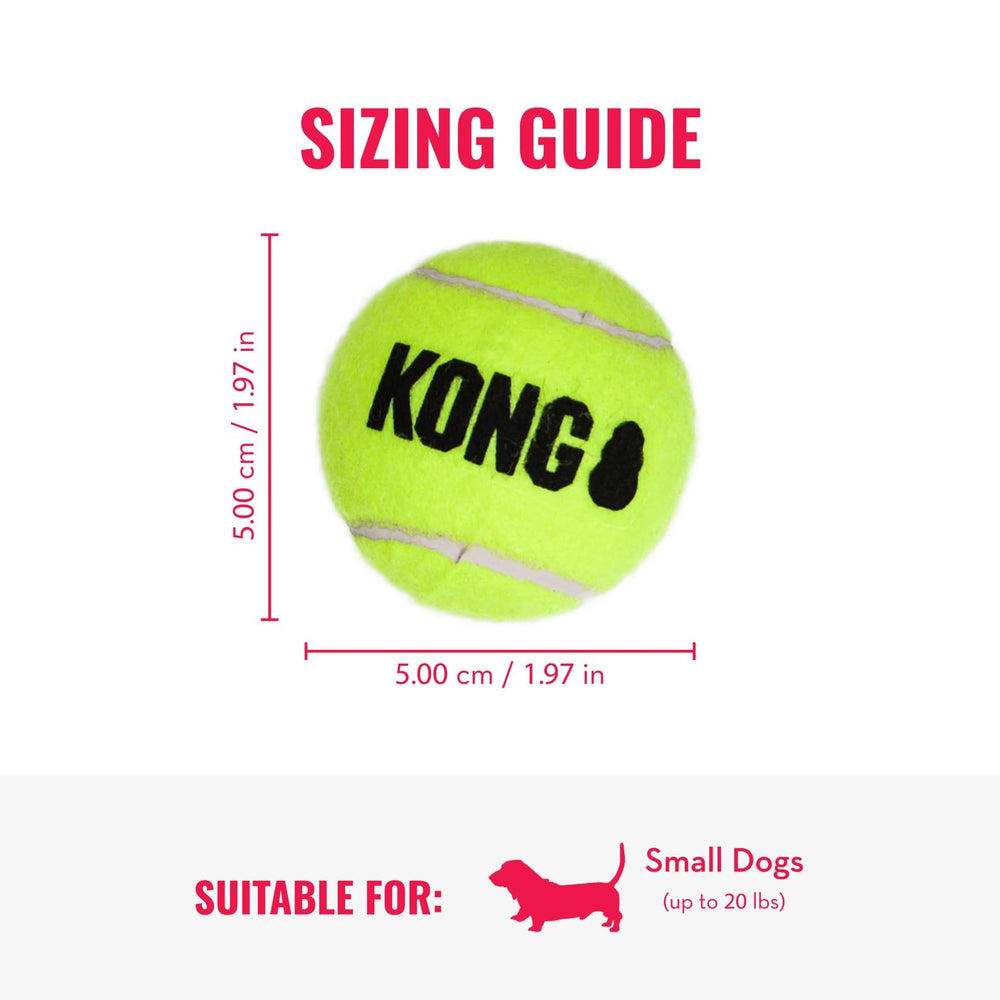 KONG SqueakAir ball 3 for playful squeaks and outdoor fetch