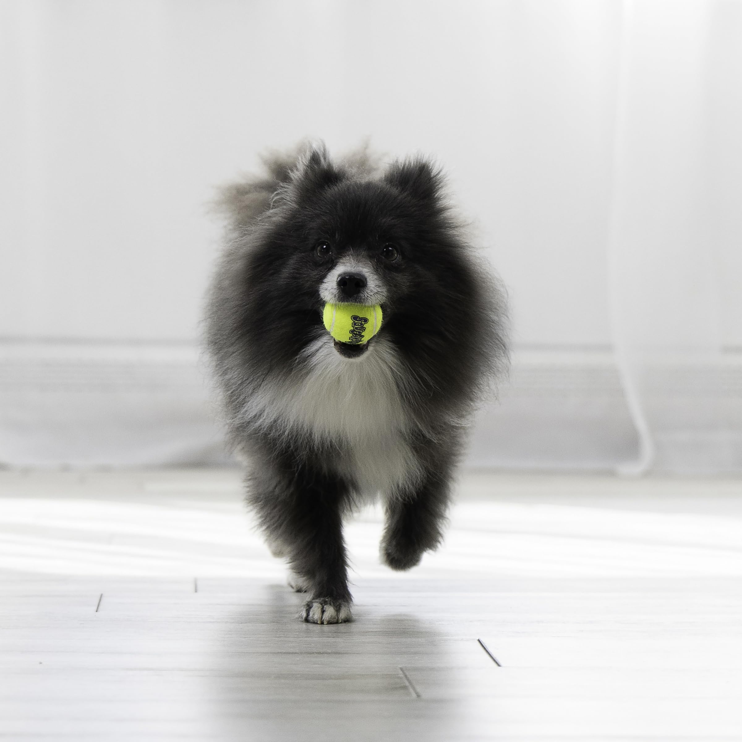 KONG Squeakair Ball showing non-abrasive surface gentle on teeth.