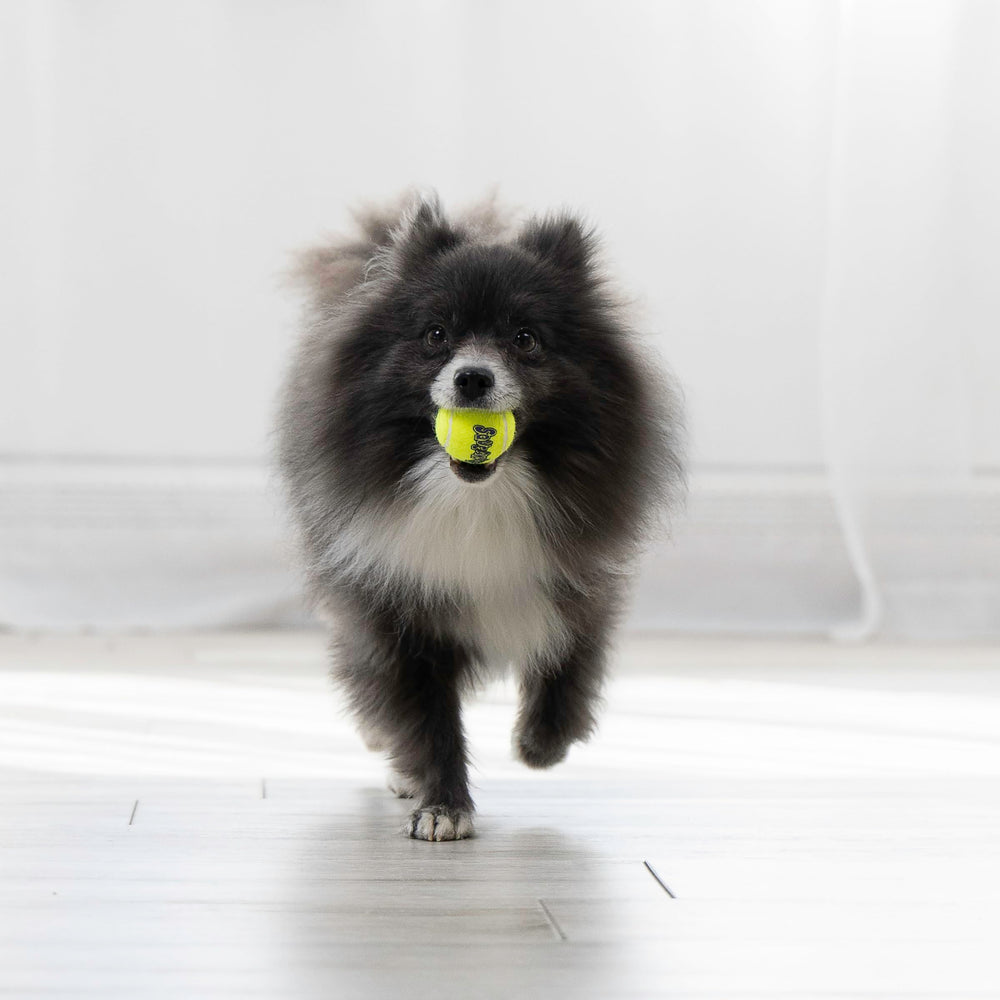 KONG Squeakair Ball showing non-abrasive surface gentle on teeth.