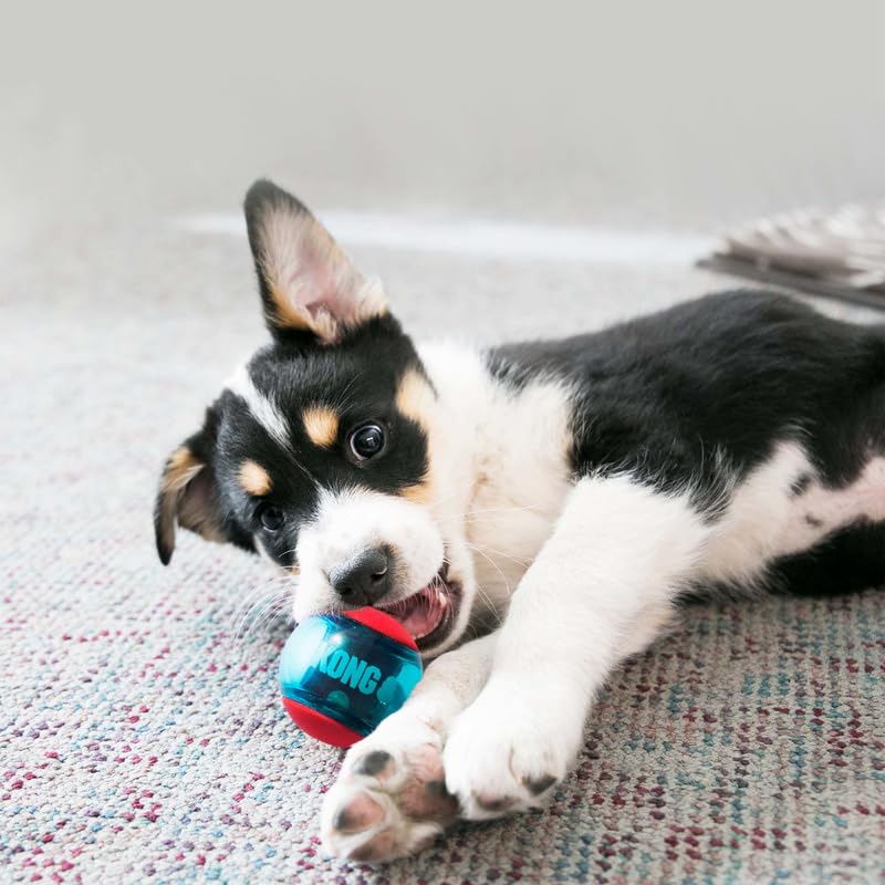 KONG Squeezz Action Ball with built-in squeaker keeps dogs engaged during play.