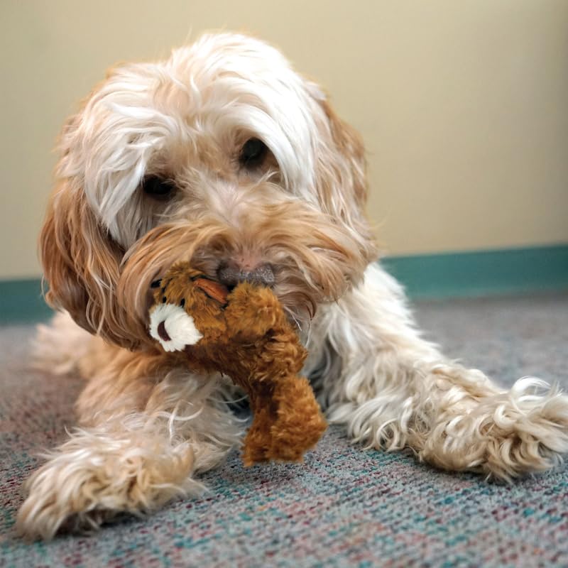 KONG Three-Animal Toy Pack featuring Bear, Duck, and Frog for variety.