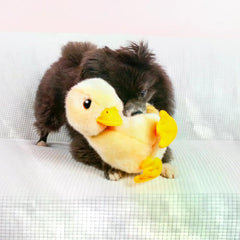 Medium size fits most dogs for safe indoor fun