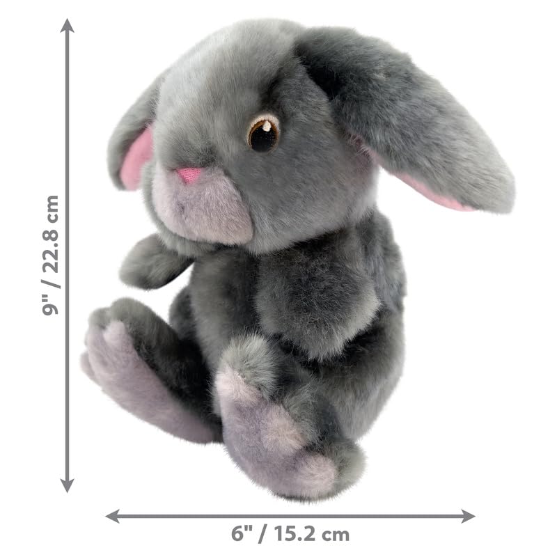 KONG Toughz durable plush withstands playful nips and indoor fetch alike.