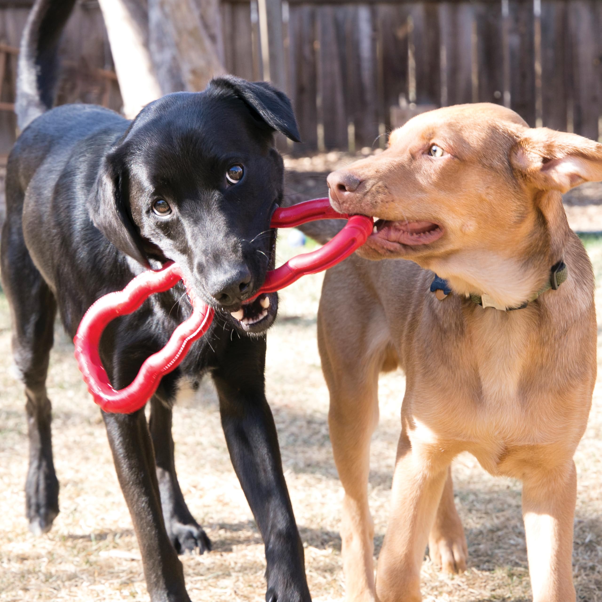 KONG Tug Toy close-up grip handle for easy hold during games.