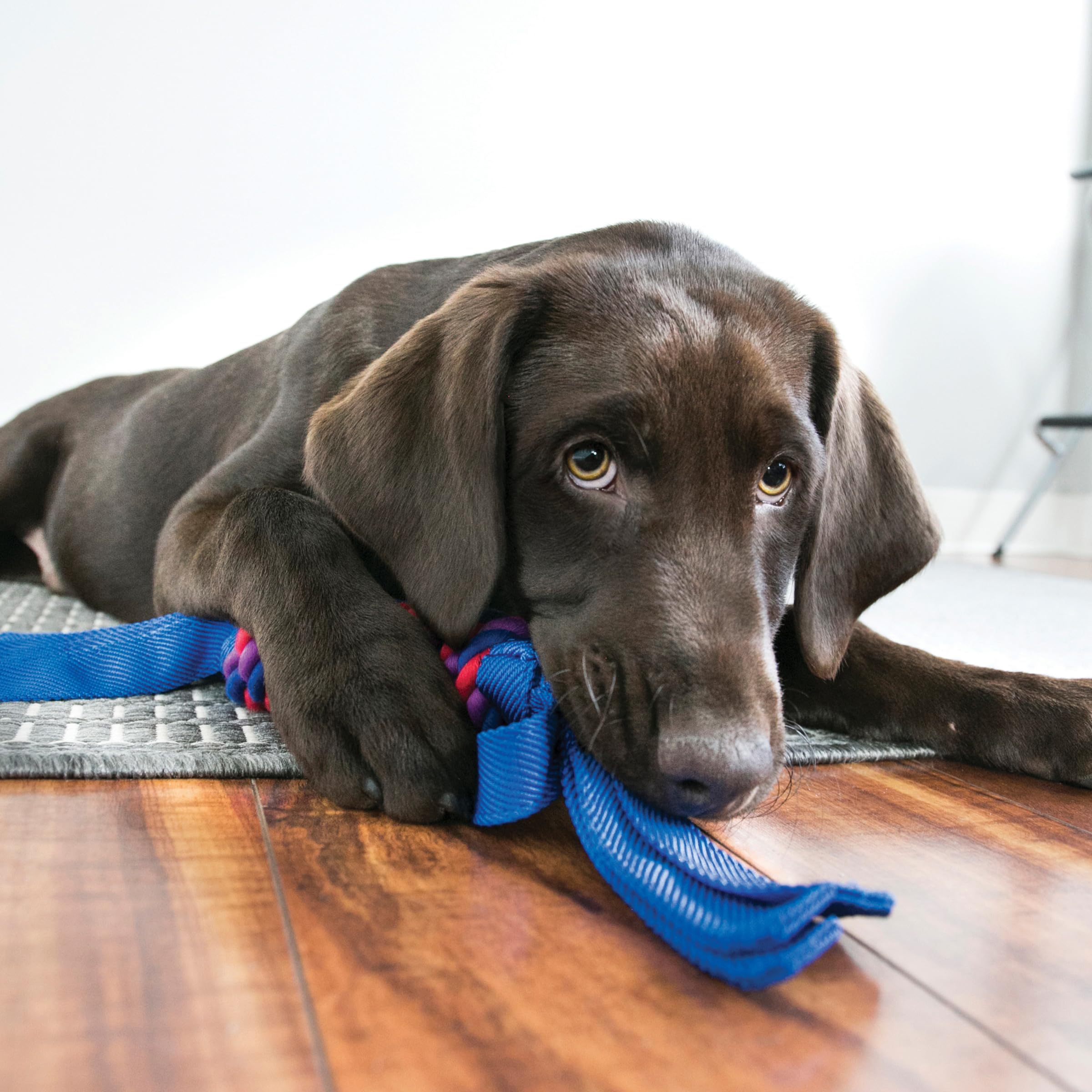 KONG Tugga Wubba double-ended tail design supports versatile tossing and tug.