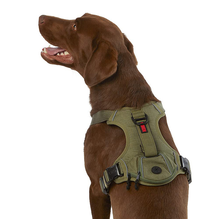 KONG waste bag harness close-up reveals rugged durability for daily walks