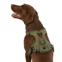 KONG waste bag harness close-up reveals rugged durability for daily walks