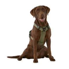 KONG waste bag harness collapsible handle demonstrates added leash control