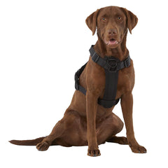 KONG Waste Bag Harness with collapsible handle for added control