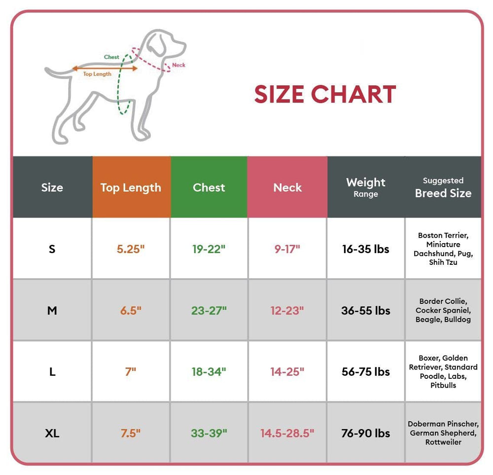 KONG waste bag harness front and back D-rings support versatile leash options.
