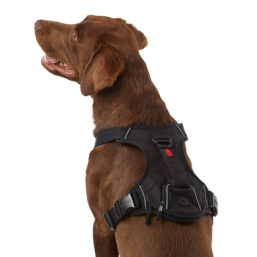 KONG Waste Bag Harness with dispenser for quick pickup during walks