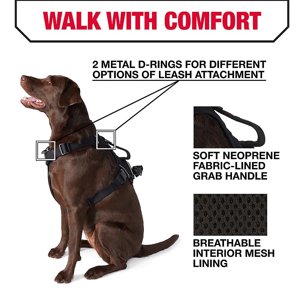 KONG Waste Bag Harness with front and back D-rings for versatile leashing