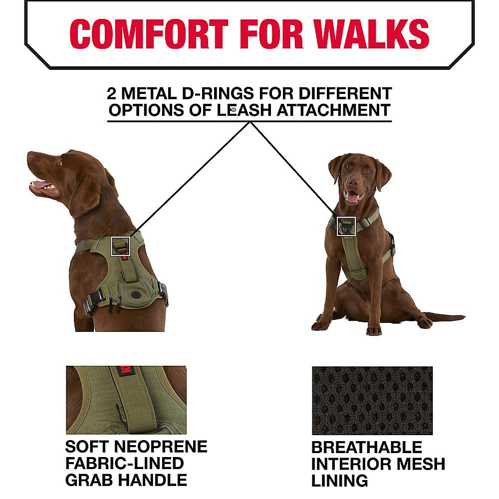 KONG waste bag harness reflective piping enhances visibility during dusk walks