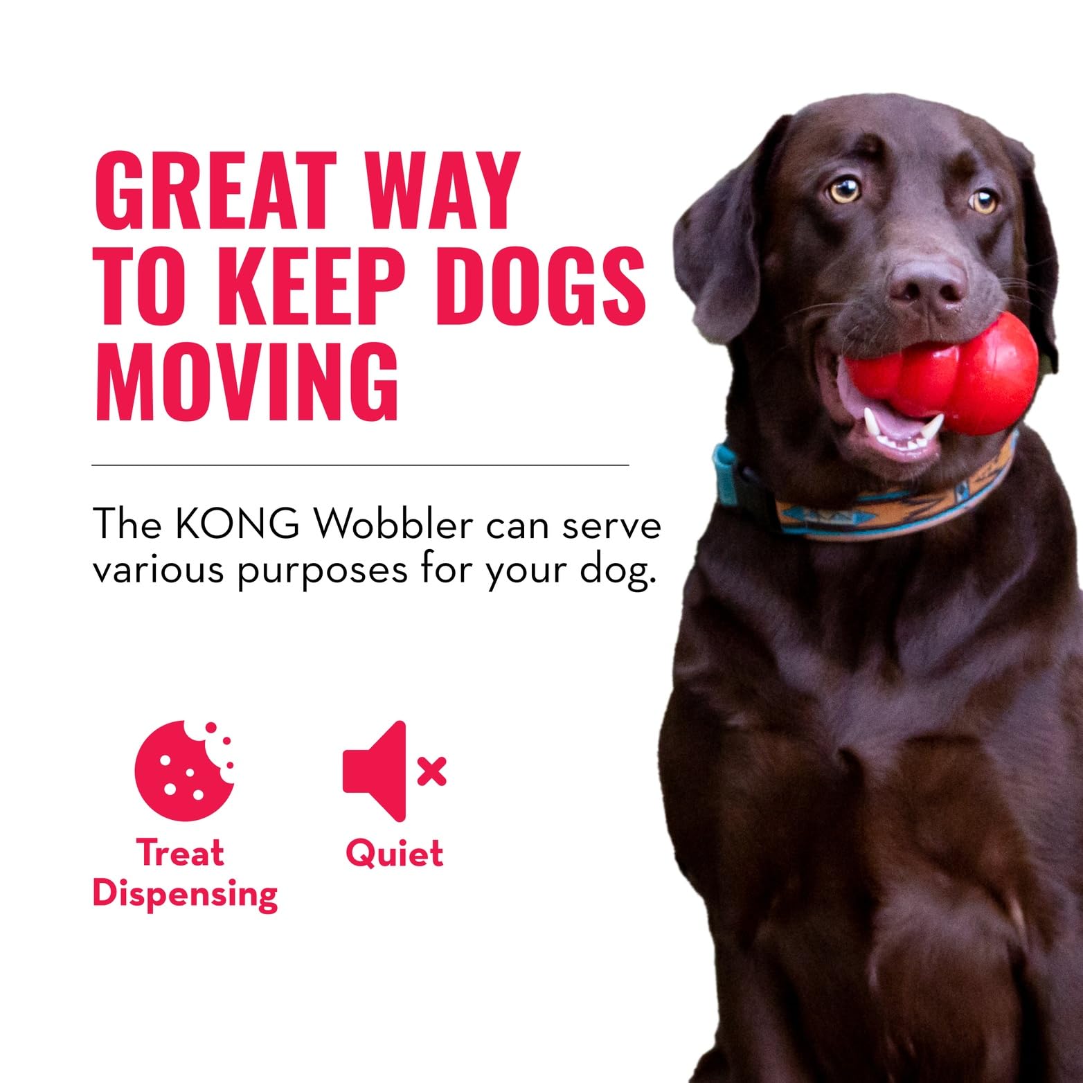 KONG Wobbler promotes slow feeding and portion control for healthier meals.