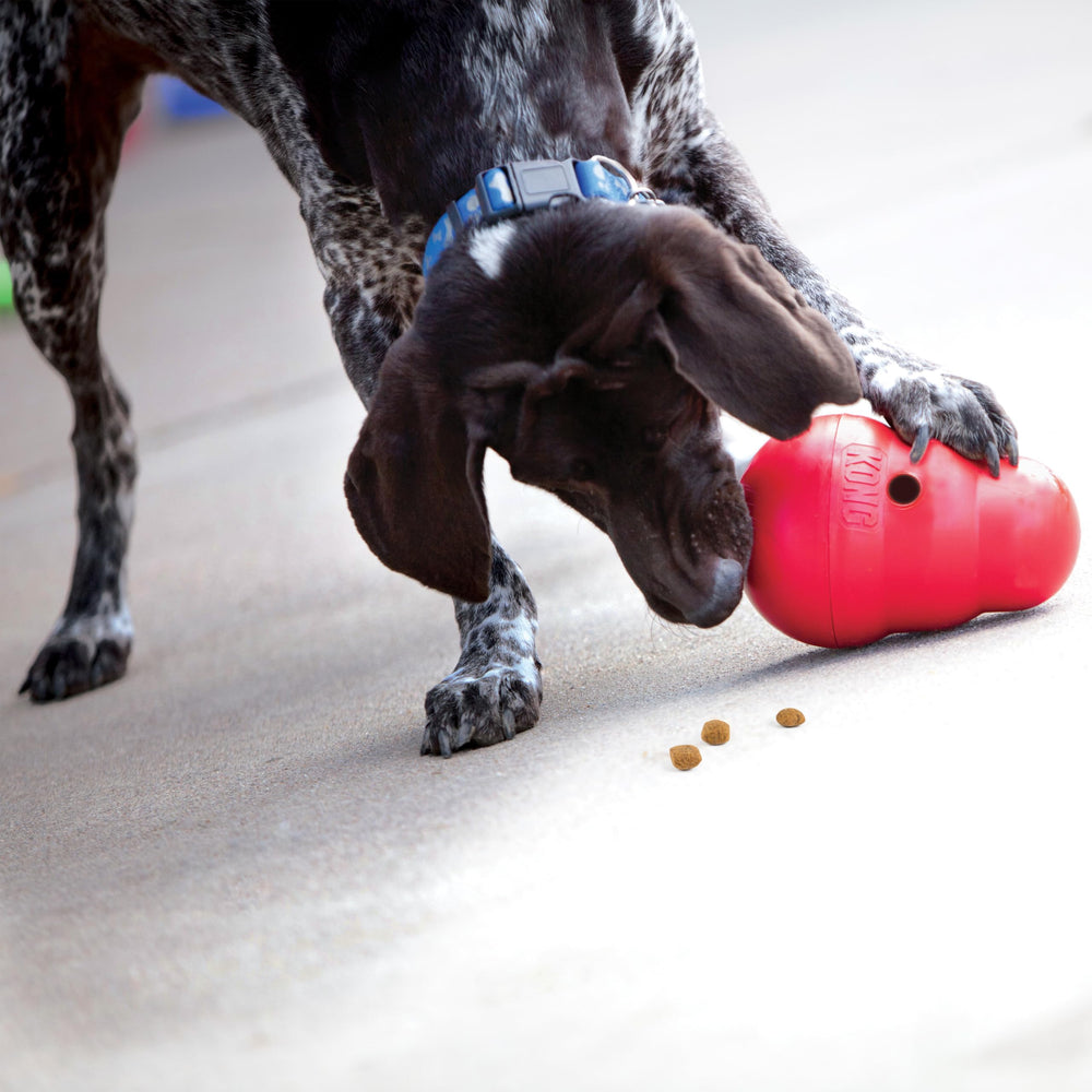 KONG Wobbler treat-dispensing design keeps dogs mentally busy and focused.