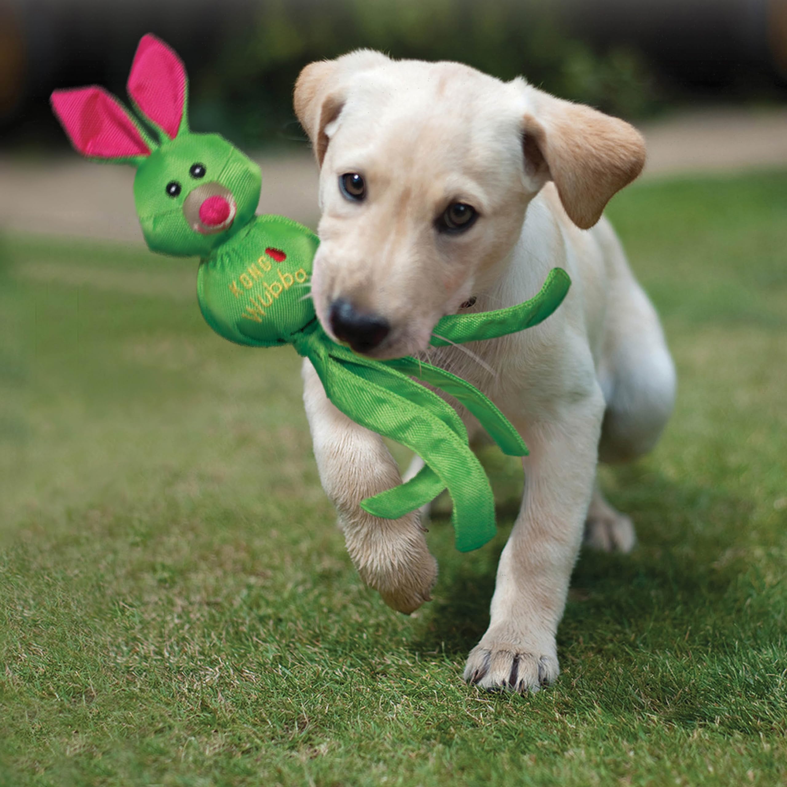 KONG Wubba Friends Ballistic dog toy suited for indoor and outdoor play