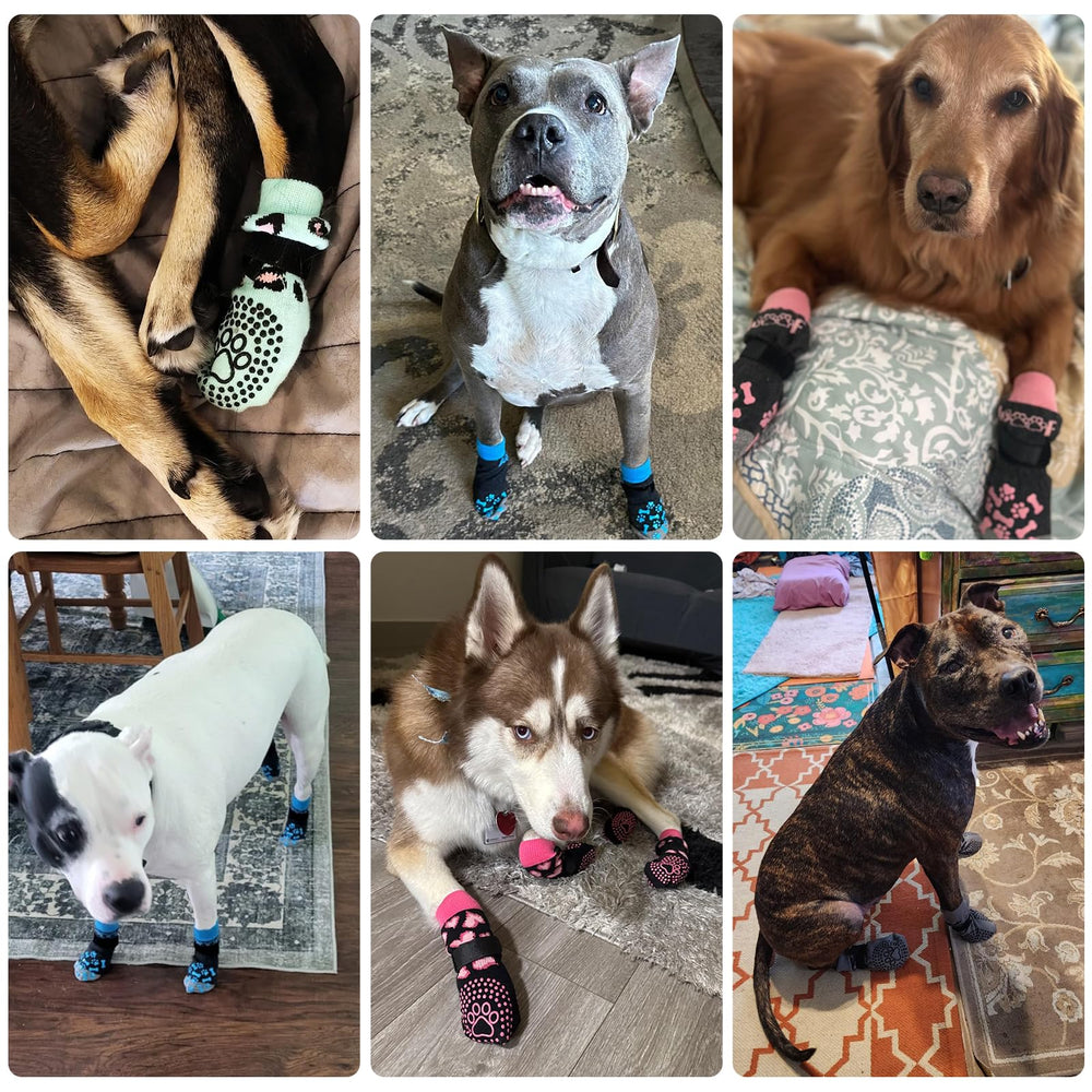 KOOLTAIL dog socks offer versatile sizing guidance for secure fit