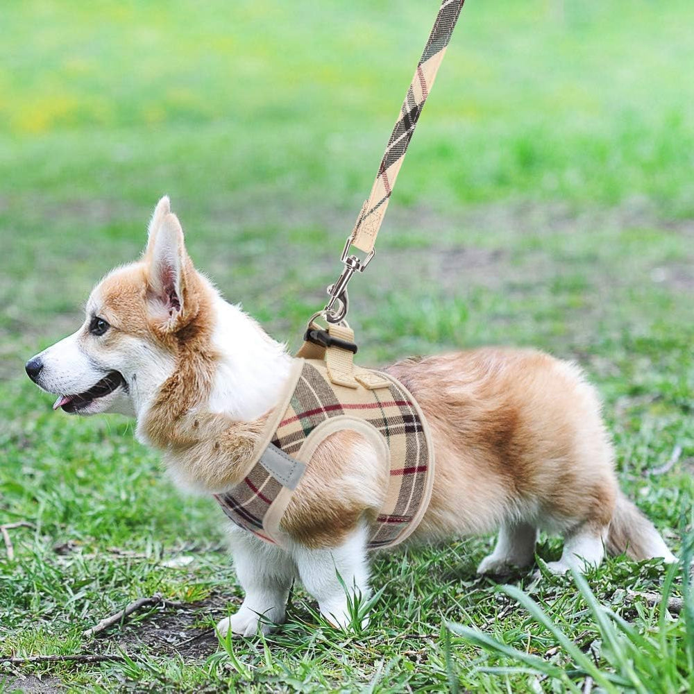 KOOLTAIL plaid beige pattern suits many breeds for daily wear