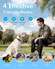 KOOTUMI dog collar remote used in park settings for safer training sessions.