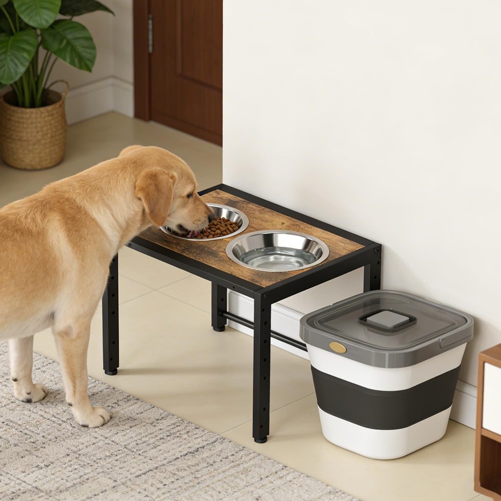 Koozuuyk large dog feeding set ready for mealtime.