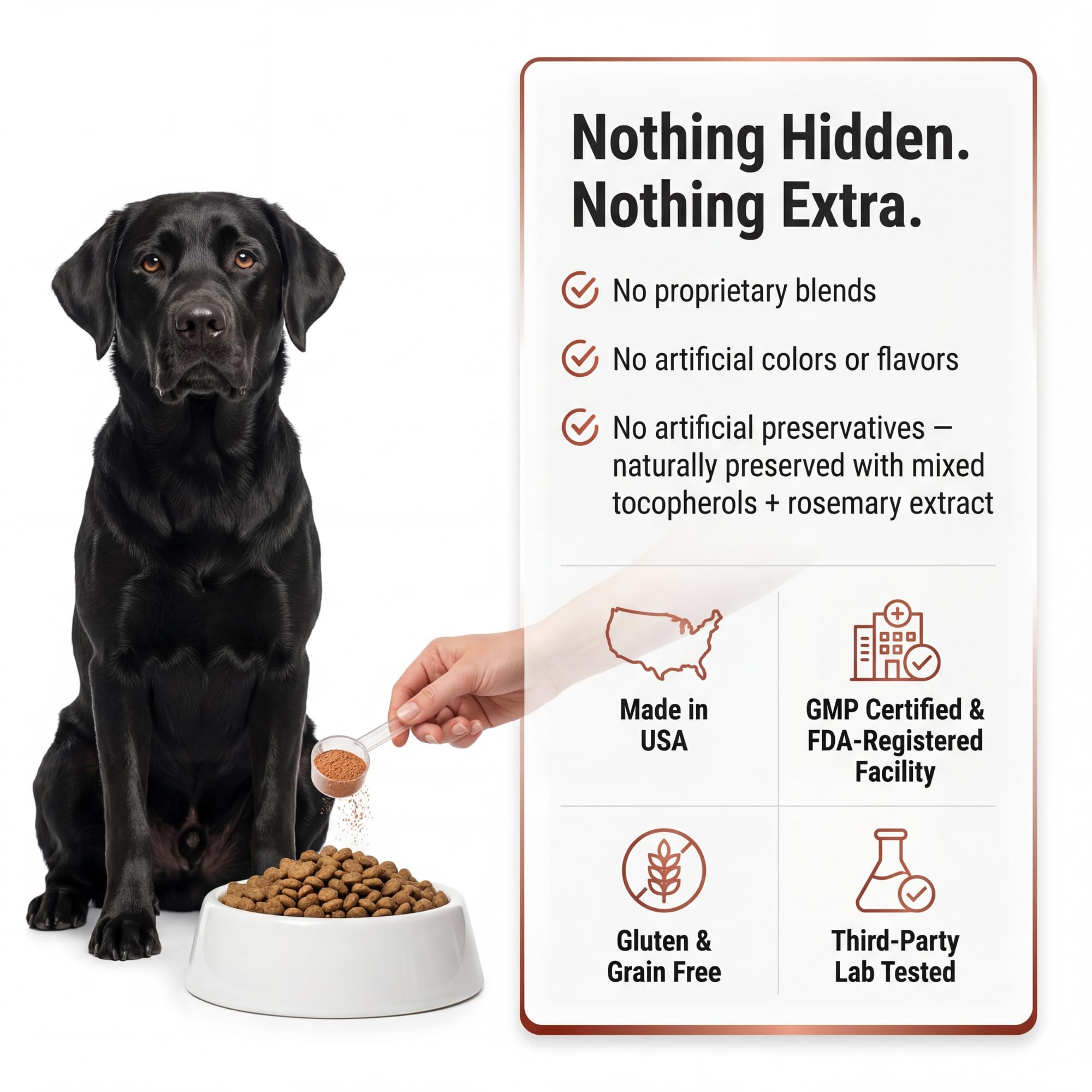 Kopo Dog Multivitamin Powder in a dog bowl with meal.