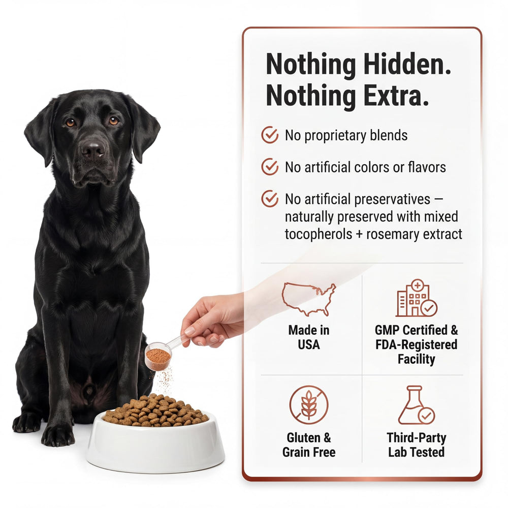 Kopo Dog Multivitamin Powder in a dog bowl with meal.