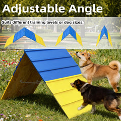 Koretech A Frame with durable natural wood for reliable climbs.