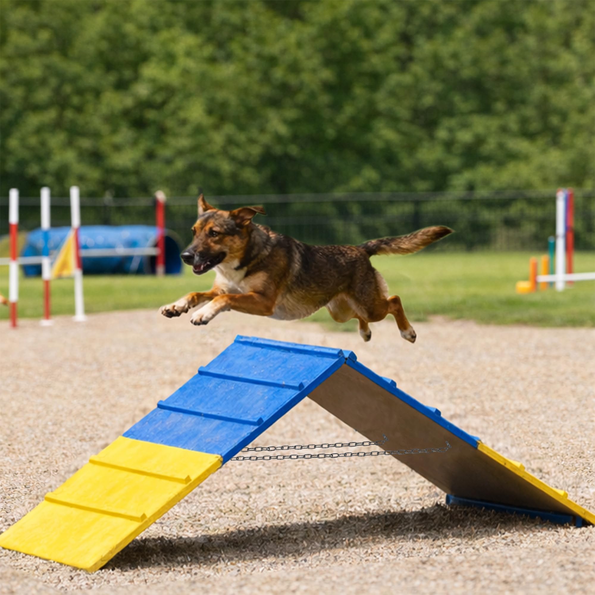 Koretech Dog Agility A Frame folds flat for easy storage and transport.