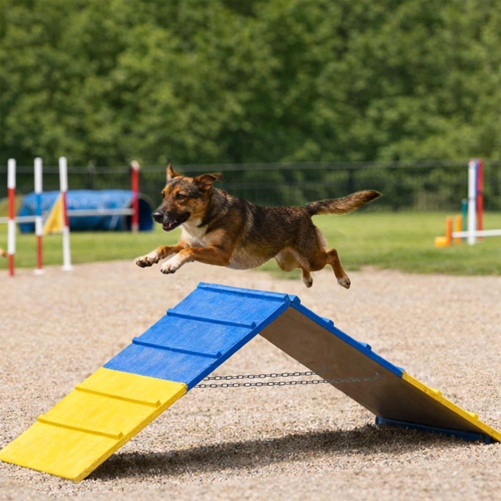 Koretech Dog Agility A Frame folds flat for easy storage and transport.