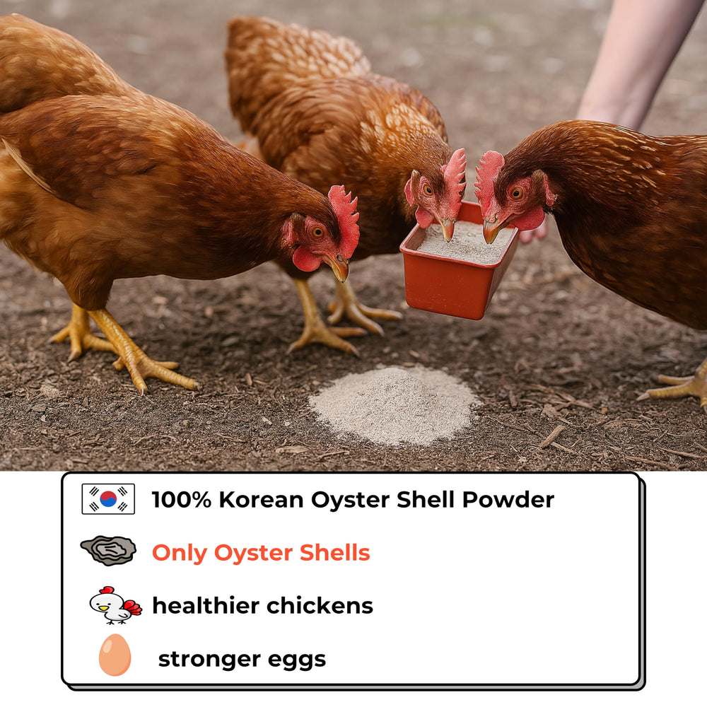 KorGourmetta oyster shell flour poured onto feed for steady intake.