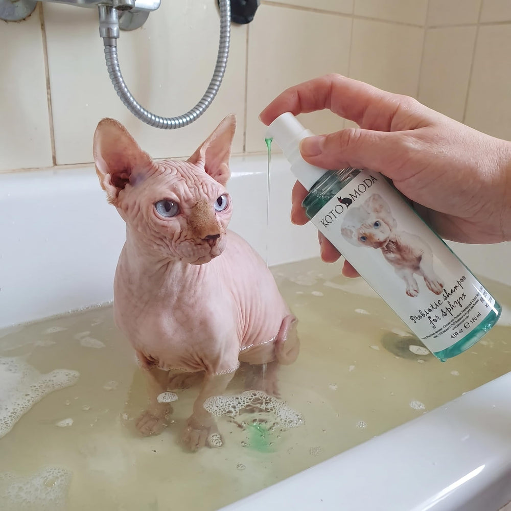 Kotomoda probiotic shampoo suitable for short-hair breeds with itch-prone skin
