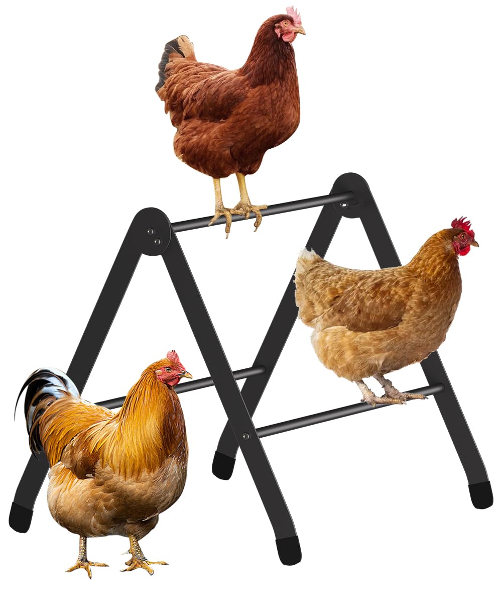 Koutemie adjustable chicken perch with wide-fit roosting for multiple birds.