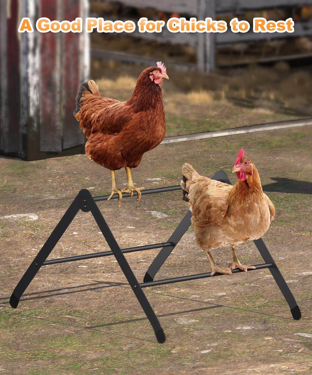 Koutemie baby chick training perch helps chicks learn to roost.