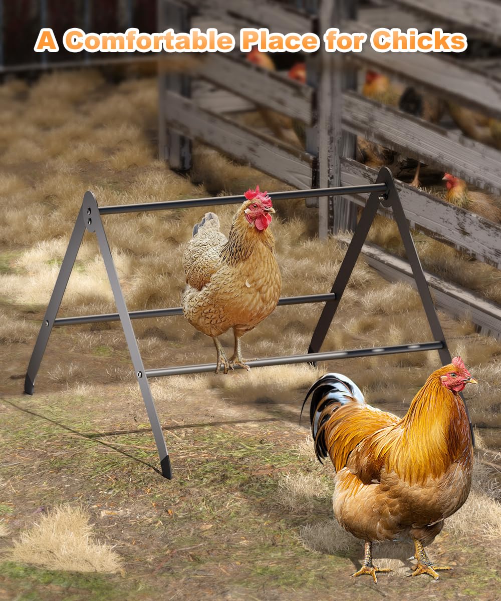 Koutemie quick-assembly perch simplifies coop setup and cleaning.