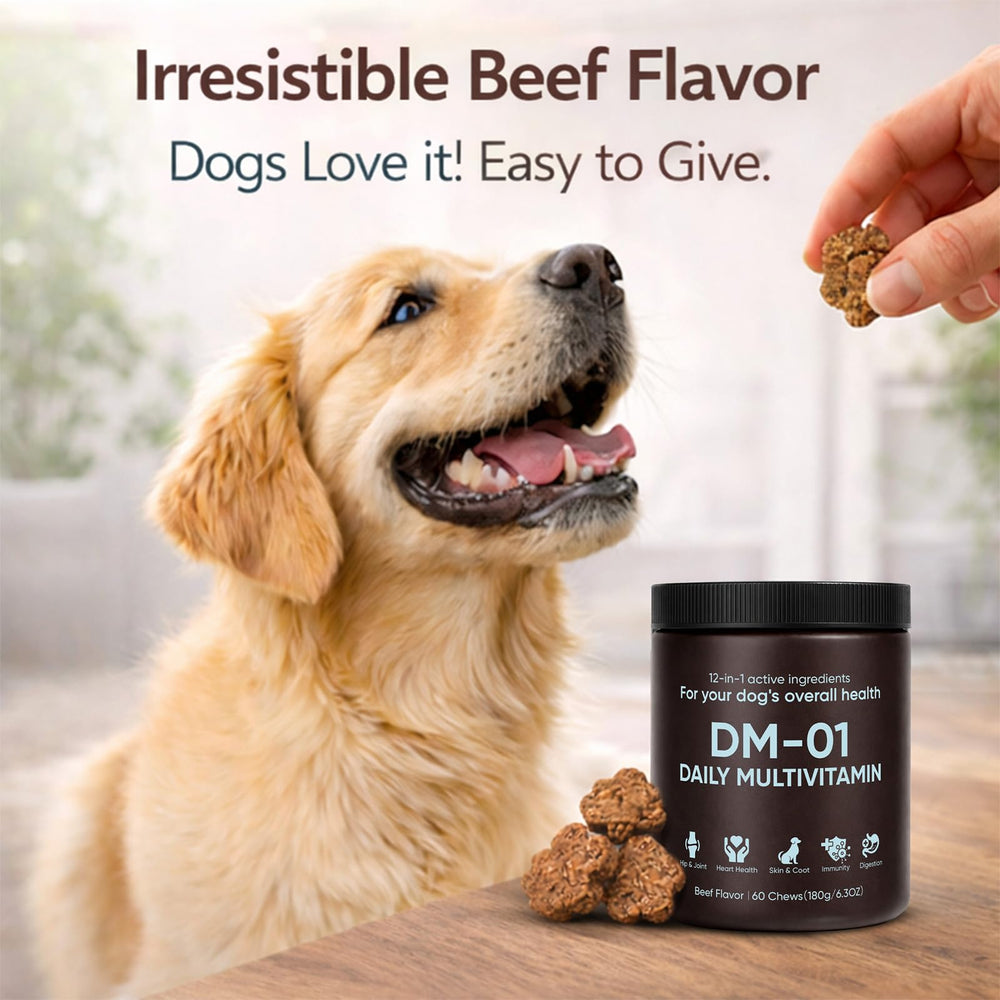 Beef-flavored DM-01 chews presented for daily use