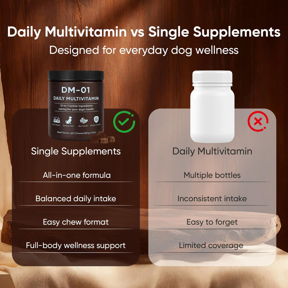 KOVGOCY DM-01 dog enjoying chew routine suggests increased activity and mood.