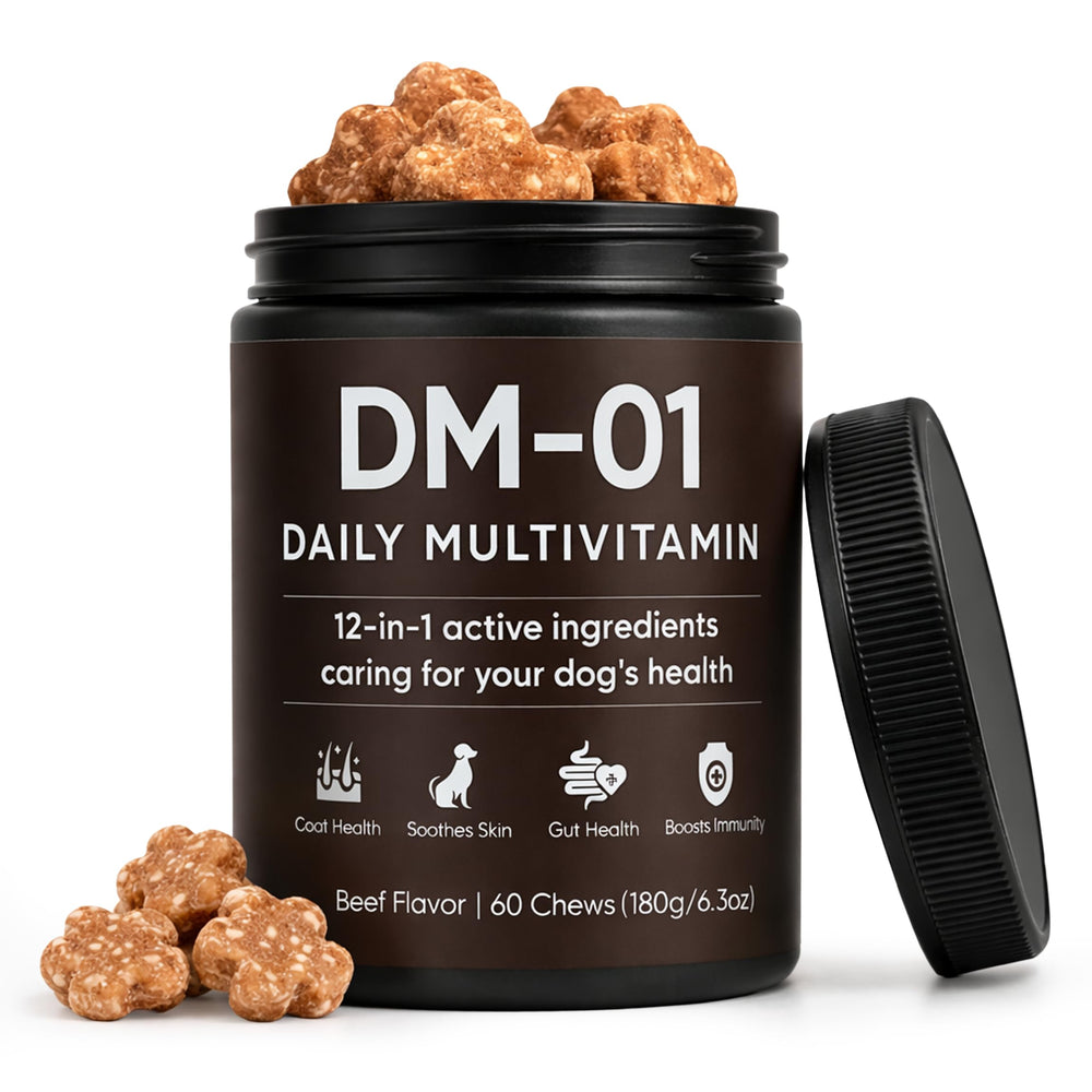 KOVGOCY DM-01 dog multivitamin bottle supports daily wellness with easy dosing.