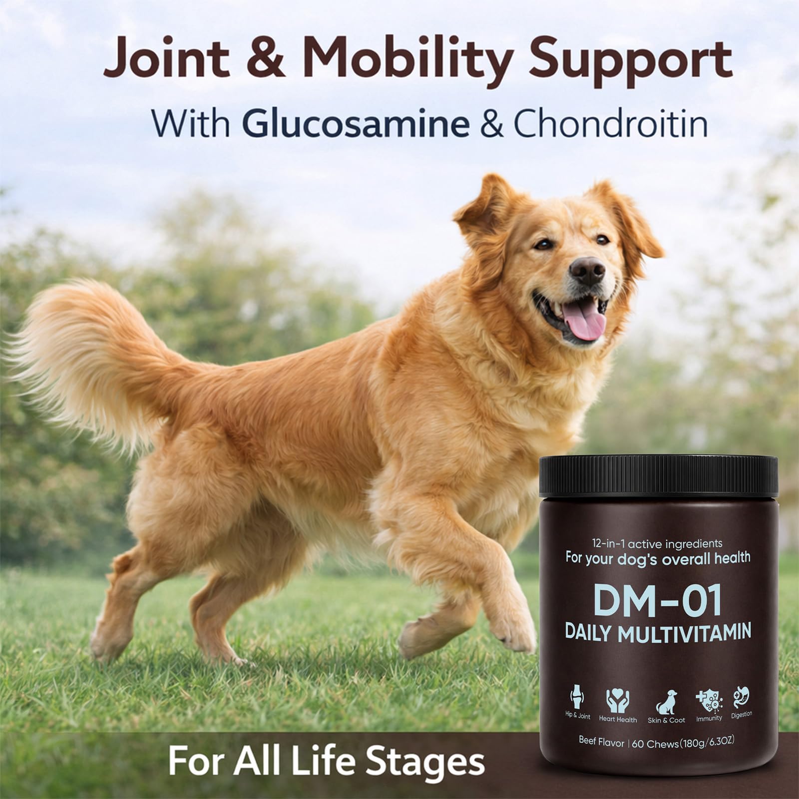 Beef-flavored DM-01 chew and salmon oil hinting at skin hydration benefits