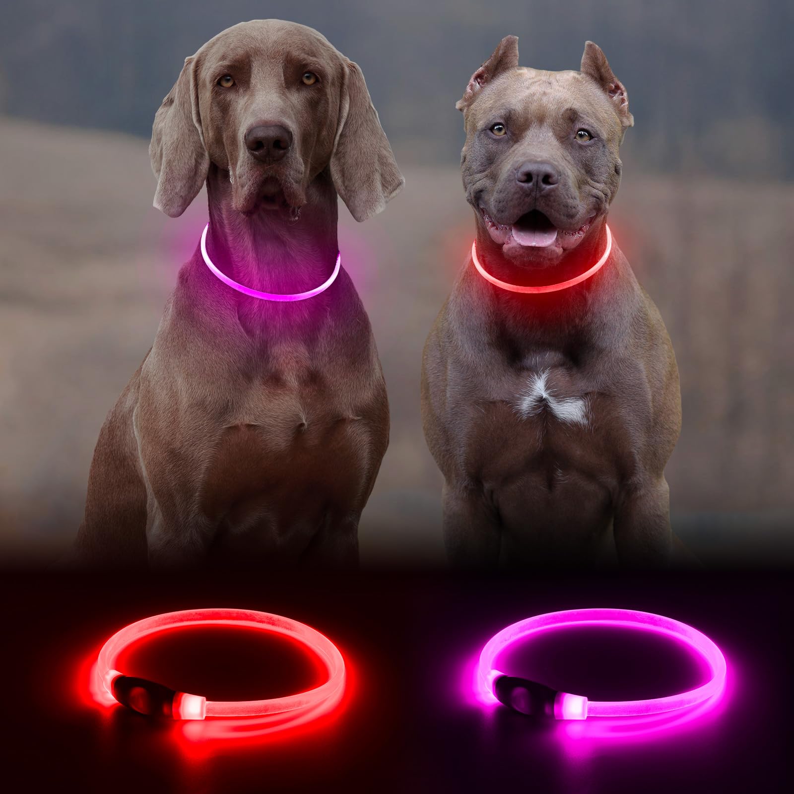 Kpuplol light-up dog collar in pink improves night visibility for safety