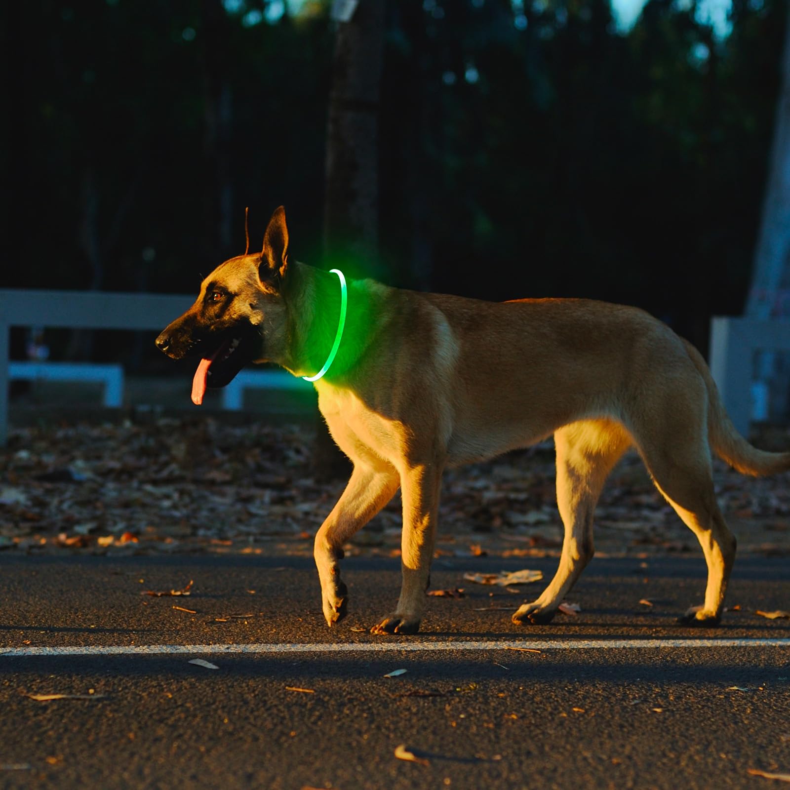 Kpuplol lightweight glow collar keeps pets safe without added bulk