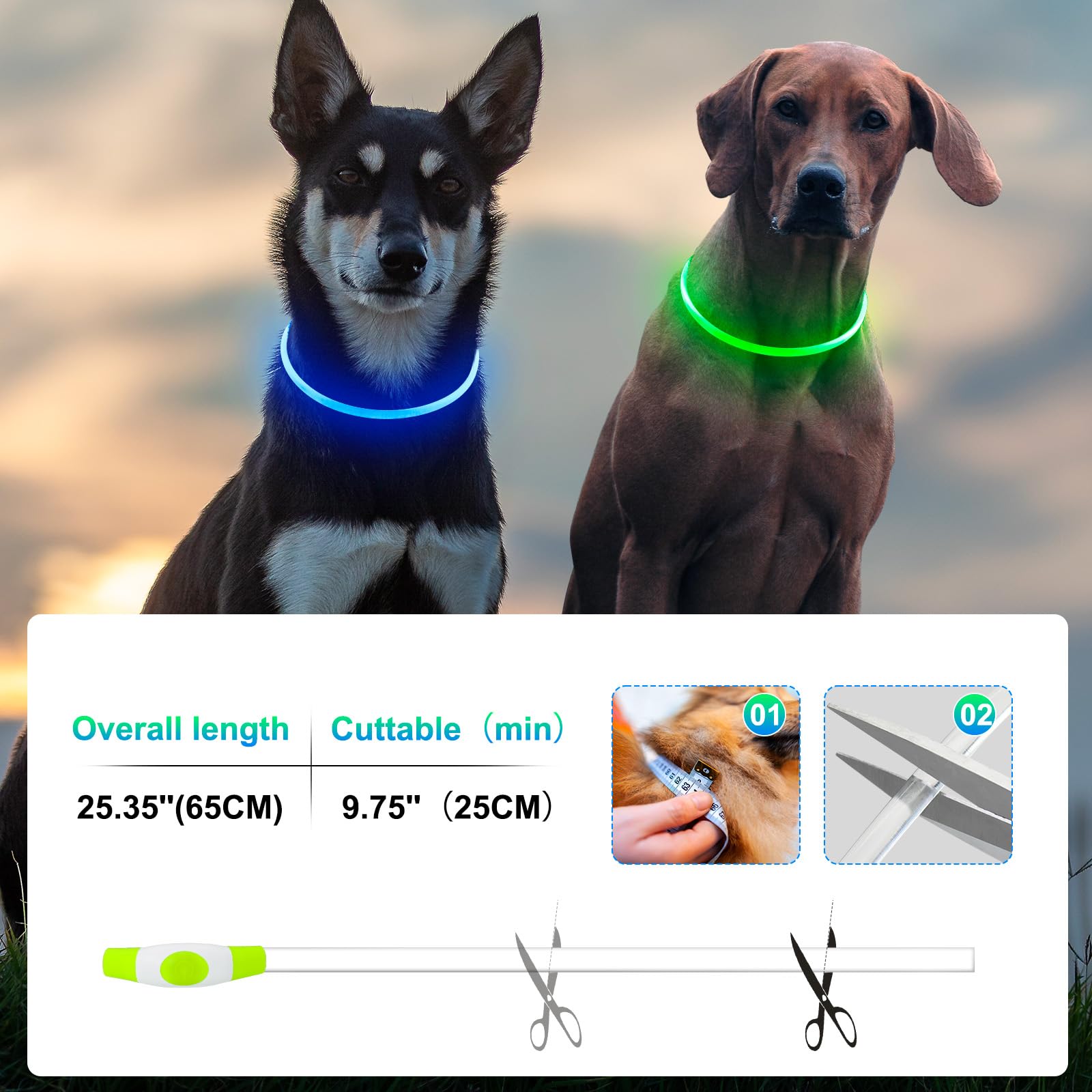 Kpuplol three modes LED dog collar offers versatile visibility options